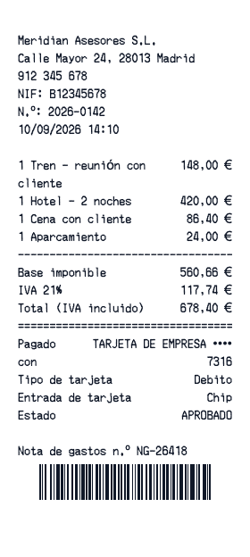 Recibo de gastos - Vista previa del recibo