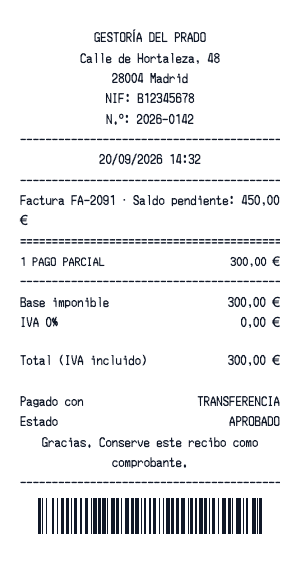 Recibo de pago parcial - Vista previa del recibo